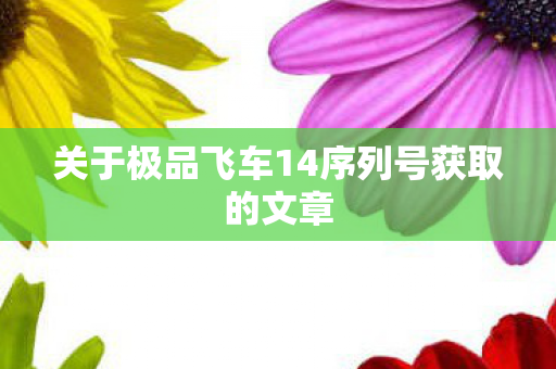 关于极品飞车14序列号获取的文章