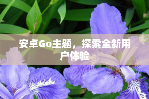 安卓Go主题，探索全新用户体验