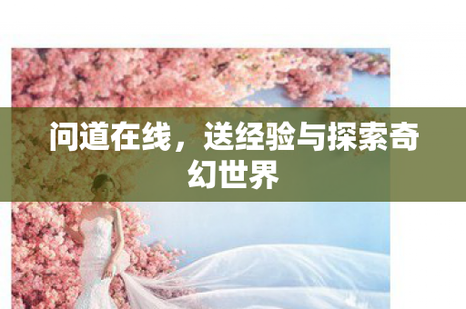 问道在线，送经验与探索奇幻世界