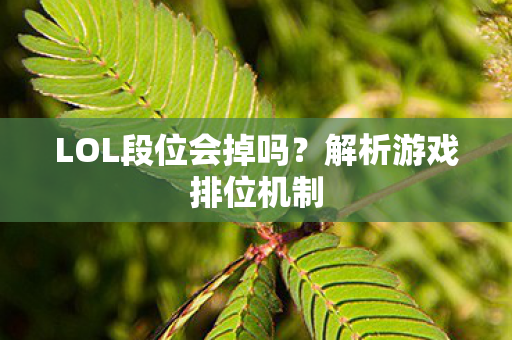 LOL段位会掉吗？解析游戏排位机制