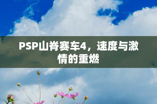 PSP山脊赛车4，速度与激情的重燃