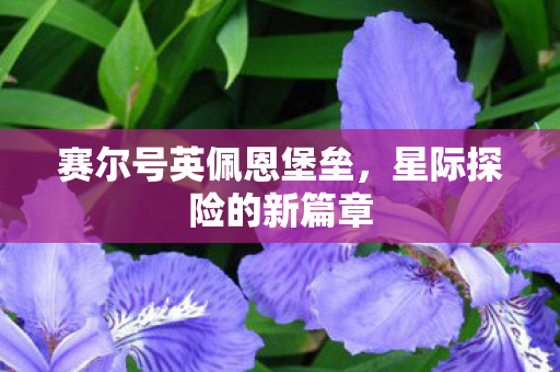 赛尔号英佩恩堡垒，星际探险的新篇章