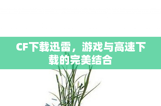CF下载迅雷，游戏与高速下载的完美结合