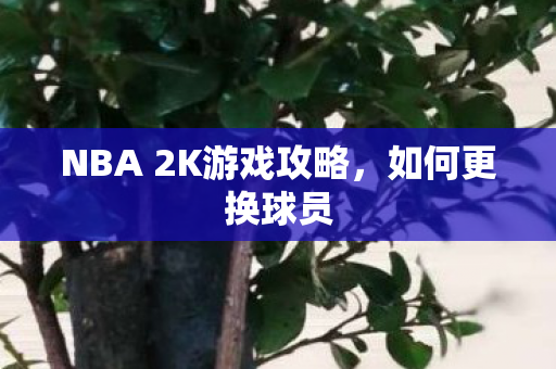 NBA 2K游戏攻略，如何更换球员