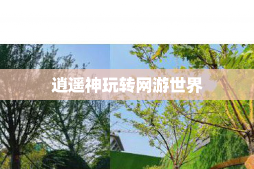 逍遥神玩转网游世界