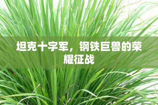 坦克十字军，钢铁巨兽的荣耀征战