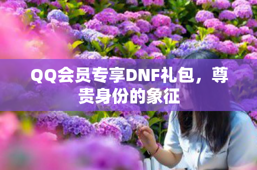 QQ会员专享DNF礼包，尊贵身份的象征