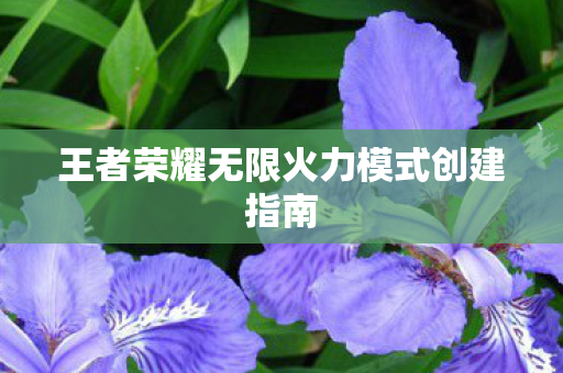 王者荣耀无限火力模式创建指南