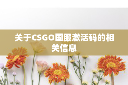 关于CSGO国服激活码的相关信息