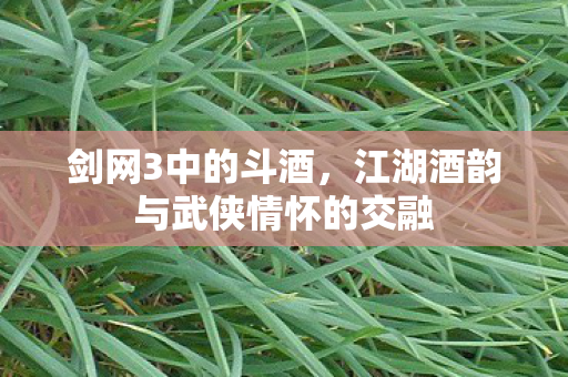 剑网3中的斗酒，江湖酒韵与武侠情怀的交融