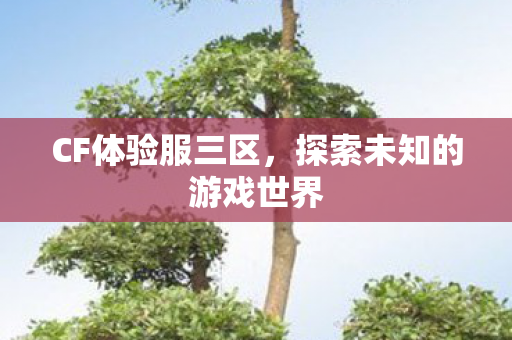 CF体验服三区，探索未知的游戏世界