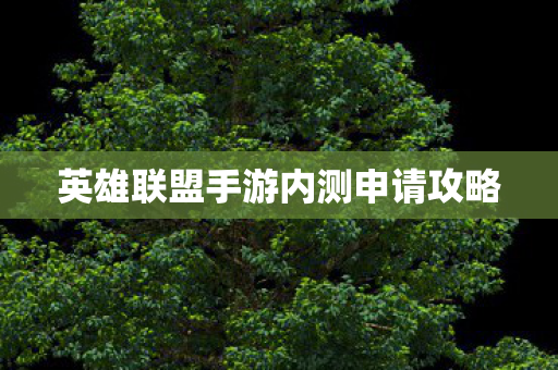 英雄联盟手游内测申请攻略