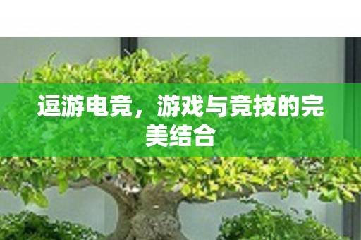 逗游电竞，游戏与竞技的完美结合