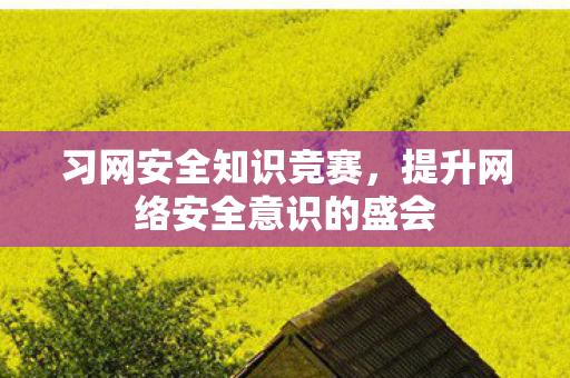 习网安全知识竞赛，提升网络安全意识的盛会