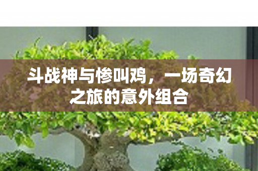 斗战神与惨叫鸡，一场奇幻之旅的意外组合