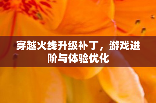 穿越火线升级补丁，游戏进阶与体验优化