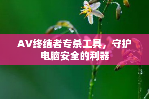 AV终结者专杀工具，守护电脑安全的利器