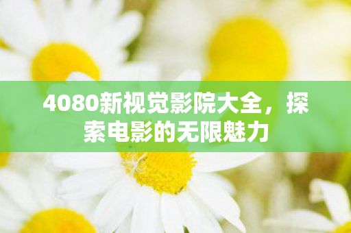 4080新视觉影院大全，探索电影的无限魅力