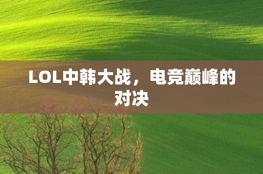 LOL中韩大战，电竞巅峰的对决