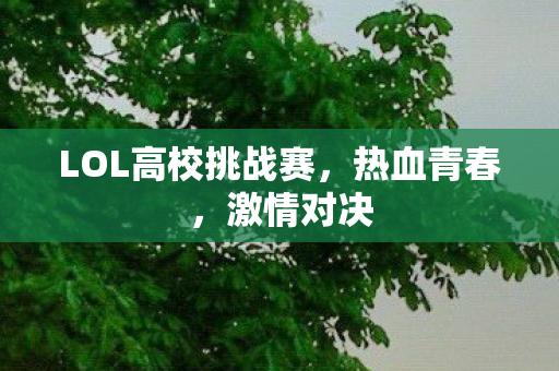 LOL高校挑战赛，热血青春，激情对决