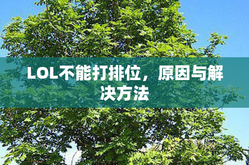 LOL不能打排位，原因与解决方法