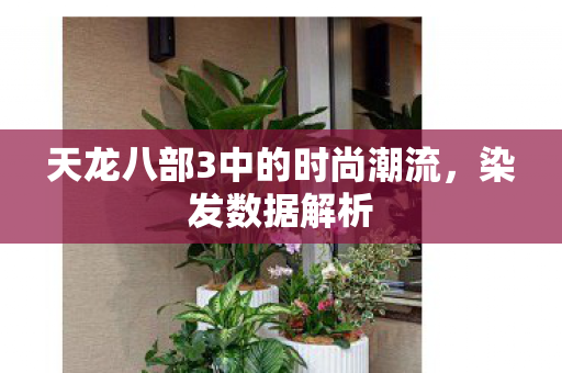 天龙八部3中的时尚潮流，染发数据解析