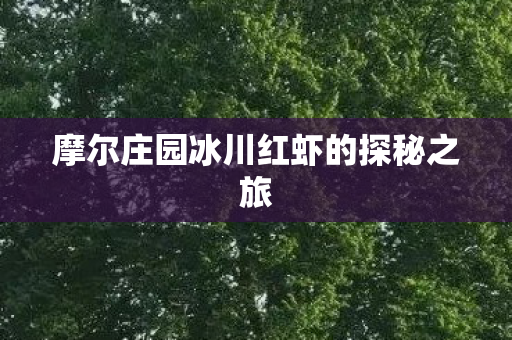 摩尔庄园冰川红虾的探秘之旅