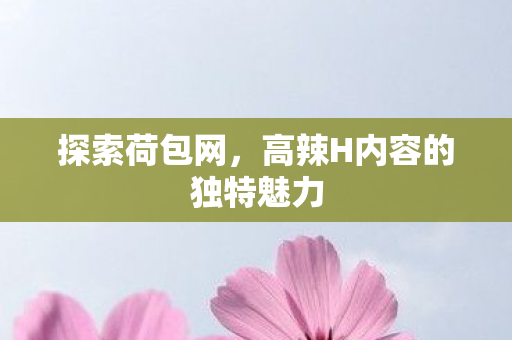 探索荷包网，高辣H内容的独特魅力