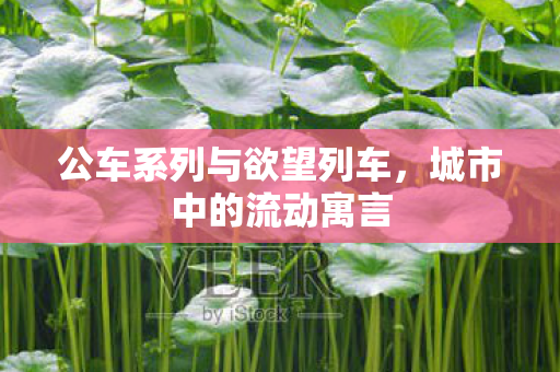 公车系列与欲望列车,城市中的流动寓言 公车系列与欲望列车,城市中的流动寓言