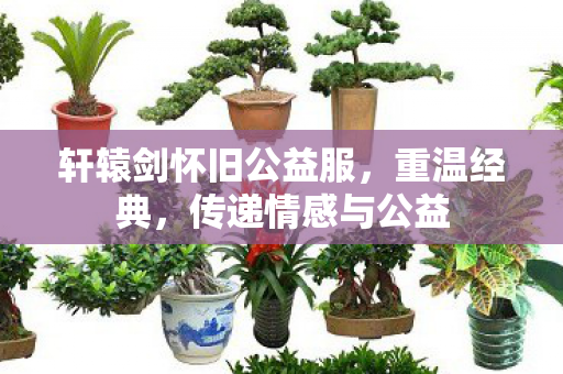 轩辕剑怀旧公益服，重温经典，传递情感与公益