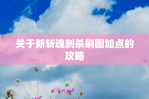 关于新斩魂刺杀刷图加点的攻略