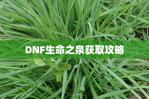 DNF生命之泉获取攻略