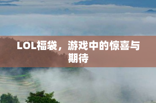 LOL福袋，游戏中的惊喜与期待