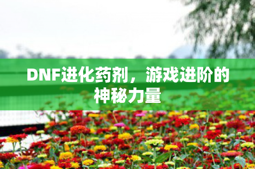 DNF进化药剂，游戏进阶的神秘力量