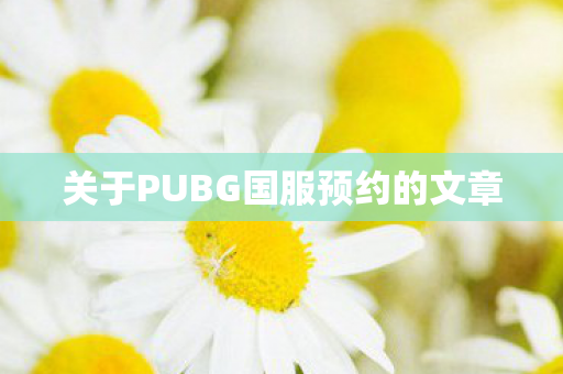 关于PUBG国服预约的文章
