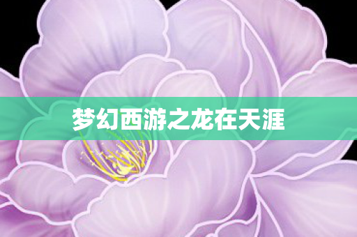 梦幻西游之龙在天涯