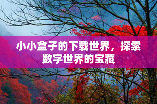 小小盒子的下载世界，探索数字世界的宝藏