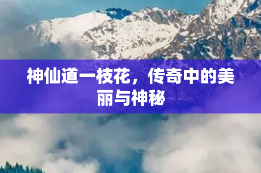 神仙道一枝花，传奇中的美丽与神秘