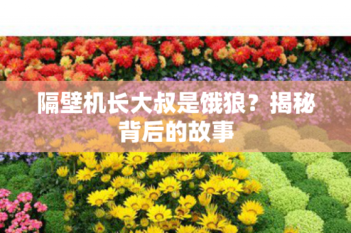 隔壁机长大叔是饿狼？揭秘背后的故事