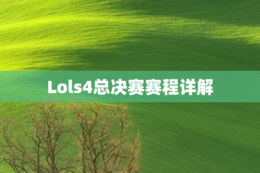 Lols4总决赛赛程详解