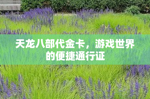 天龙八部代金卡，游戏世界的便捷通行证