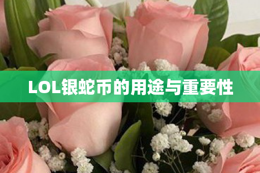 LOL银蛇币的用途与重要性 LOL银蛇币的用途与重要性