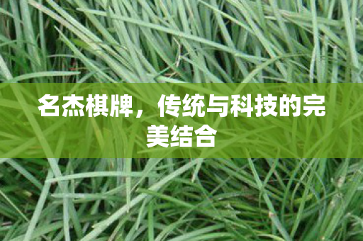 名杰棋牌，传统与科技的完美结合