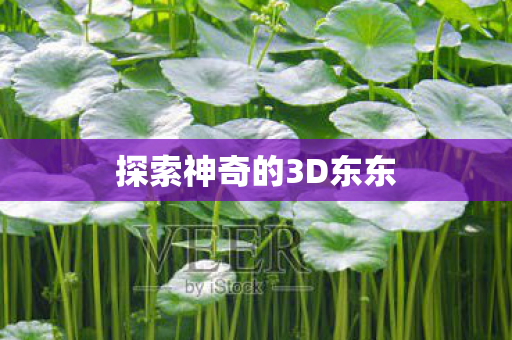 探索神奇的3D东东