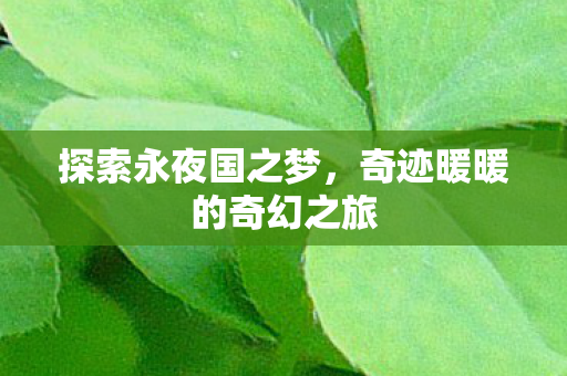 探索永夜国之梦，奇迹暖暖的奇幻之旅