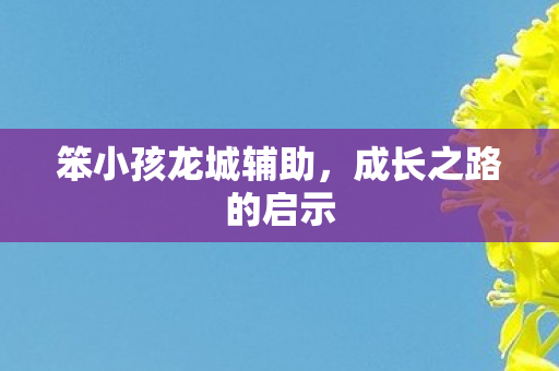 笨小孩龙城辅助，成长之路的启示