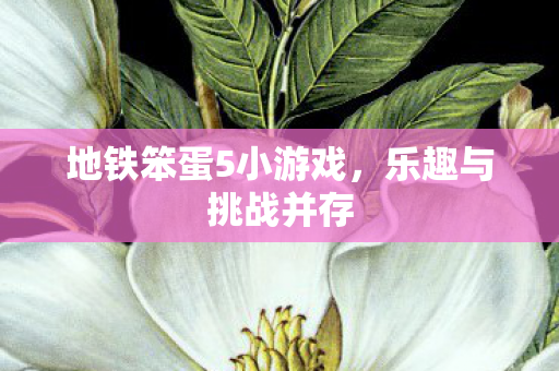 地铁笨蛋5小游戏，乐趣与挑战并存