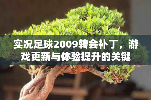 实况足球2009转会补丁，游戏更新与体验提升的关键