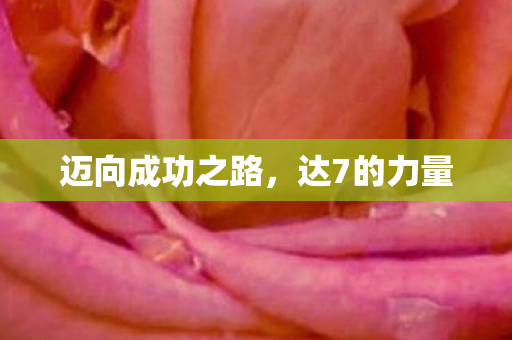 迈向成功之路，达7的力量
