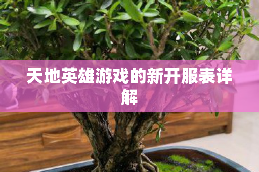 天地英雄游戏的新开服表详解